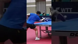 Fan Zhen Dong's backhand technique and left flick in the table #tabletennis #pingpong  #shortvideo