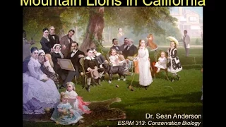 California Mountain Lion Management