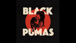 Black Pumas - Livestream Benefit (Full Concert)