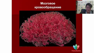 Восстановление оболочек мозга. Врач Засорина Любовь Викторовна