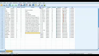 Copiar Datos de Excel a SPSS