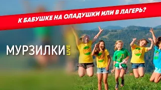 Каждый 5-й родитель отправит ребенка в лагерь | пародия «Девчонка-девчоночка»