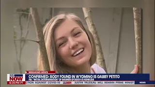 Cold case consultant speaks on Gabby Petito case | LiveNOW from FOX