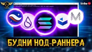 Будни нод - раннера ноды Taiko Shardeum Gear Starknet Cascadia Ziesha Subspace Solana Muon