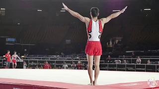 Kenzo Shirai (JPN) FX - 2017 World Championships - Podium Training