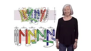 Lily Jan (UCSF / HHMI) 1: Introduction to Ion Channels: The role and function of potassium channels