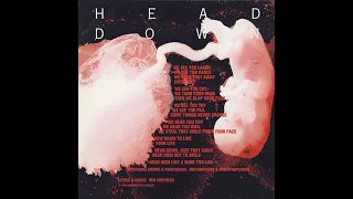 Soundgarden - Head Down (isolated bass)