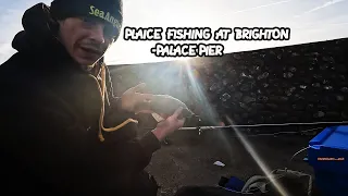 Fishing at Brighton - Plaice fishing | Fishing With Jack | Sea Fishing | UK Fishing | Beach Fishing