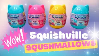 Squishville Sqishmallow Blind Bag Unboxing | Plush Toy Surprise Eggs