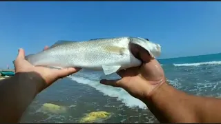 At çek ile LEVREK avı Mersin