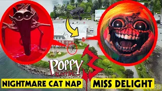 DRONE CATCHES MISS DELIGHT & NIGHTMARE CATNAP | POPPY PLAYTIME CHAPTER 3 IN REAL LIFE  POPPY ISLAND