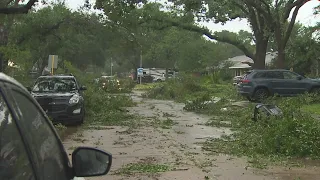 Downed trees littered across streets in NW Houston neighborhoods