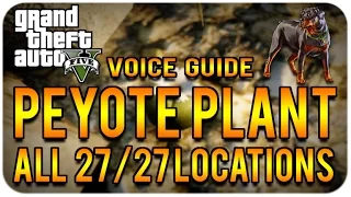 GTA 5: (XboxOne/PS4) "All 27 Peyote Plant Locations" COMPLETE! GUIDE Step By Step [Voice Tutorial!]