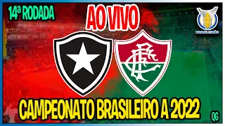 Botafogo 0 x 1 Fluminense - brasileirão 2022 - 14ª rodada - narração