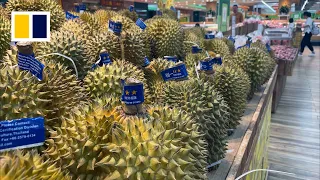 Heatwave panics Thai durian farmers