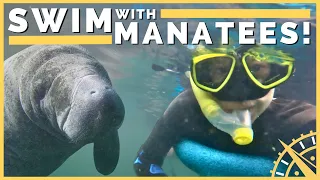 🤿🦀 Manatee Capital of the World: Crystal River, Florida! | Newstate Nomads