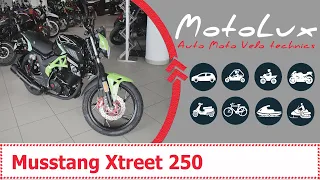 Musstang Xtreet 250 мотоцикл відеоогляд || Мустанг Икстрит 250 мотоцикл видеообзор