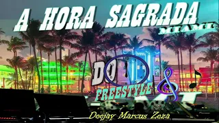 PROGRAMA FLASH MIXXX ( A HORA SAGRADA DO MIAMI  ) SET MIX FREESTYLE