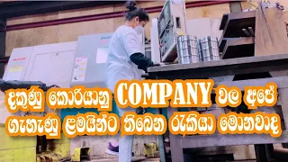 Jobs in Korean companies for Sri Lanka girls/අපේ කෙල්ලන්ට කම්පැනිවල ලැබෙන රැකියා මොන වගේද බලමු