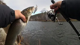 Уловистые воблеры на ленка и тайменя 🎣