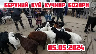 БЕРУНИЙ КУЙ КУЧКОР БОЗОРИ 05.05.2024