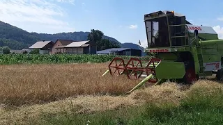 Claas DOMINATOR 48