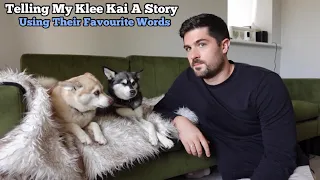 DRAMATIC Mini Huskies React When Owner Tells Story Using Their FAVOURITE Words | Alaskan Klee Kai