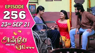 Anbe Vaa Serial | Episode 256 | 23rd Sep 2021 | Virat | Delna Davis | Saregama TV Shows Tamil