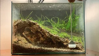 How to Make cave fish tank