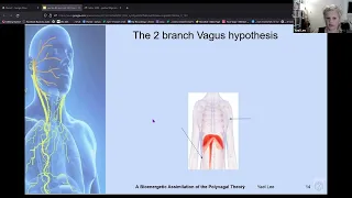 The Vagal paradox and the vagal brake