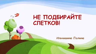 Не подбирайте слетков!