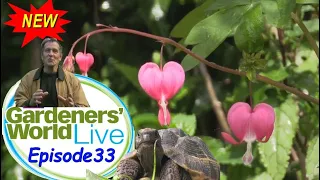 Gardeners' World - 2022 -Episode 33 -Summer's most delicate flower: angel's fishing rod