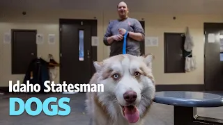 Dog Training Program Benefits Pets, Incarcerated Men