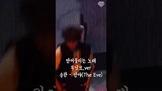 [세븐틴/승관] 캐럿랜드 DAY3 안어울리는 노래 부남보.ver 전야(The Eve)