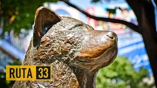 La estatua de Hachiko: Un monumento al perro más leal de la historia | Japón