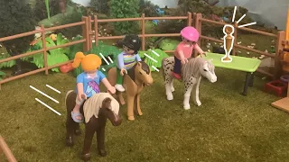 De paarden wedstrijd | Familie de Wit Playmobil