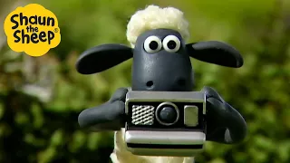 Shaun the Sheep 🐑 The Family Photoshoot 😀📷 Full Episodes Compilation [1 hour]