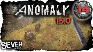 S.T.A.L.K.E.R. Anomaly 1.5.0 ☢ Мастер ножа (14)