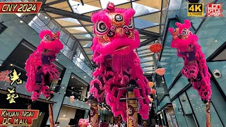 CNY 2024 - Acrobatic Lion Dance by 光艺 Kwong Ngai  @ DC Mall 龙年春节贺岁 粉红双狮 高桩採青 鼓乐响连天