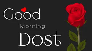 Good Morning Dost~whatsapp status|Morning wishes|Good morning videos|Hindi Shayari - lyrics