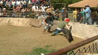 2010 Wild Hog Wrestling/Catching Championships - Wes W.