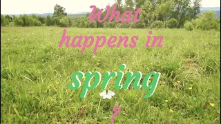 What happens in spring?