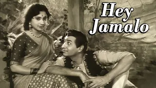 Hey Jamalo | Mohammed Rafi & Asha Bhosle Romantic Duet | Dharmendra, Mala Sinha | Pooja Ke Phool