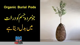 Interesting Eco-Friendly Burial Methods | Faisal Warraich