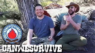 Survival Fire Starting Techniques (Bushcraft & Survival Skills)