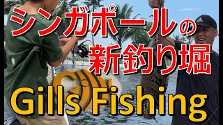 シンガポールの新釣り堀 (前編)『Gills Fishing』釣り堀で釣った魚でBBQパーティー企画 (Gills Fishing Pond in Singapore)