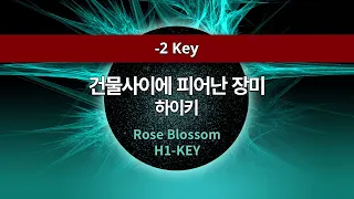 [MR노래방ㆍ-2 key] 건물 사이에 피어난 장미 - 하이키 ㆍRose Blossom - H1-KEY ㆍMR Karaoke