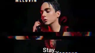 MELOVIN - WANT YOU TO STAY  (lyrics)
