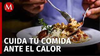 ¿Cuál es el cuidado ideal para nuestros alimentos en estas altas temperaturas?