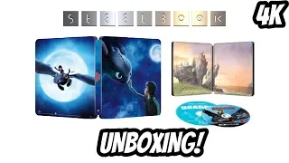 HOW TO TRAIN YOUR DRAGON (Steelbook) Unboxing and Review With Commentary